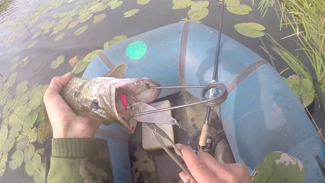 Как снять щуку с тройника блесны, видео rybachil.ru смотреть онлайн