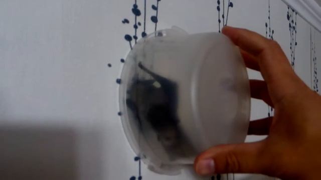 Ночная гостья смотреть онлайн