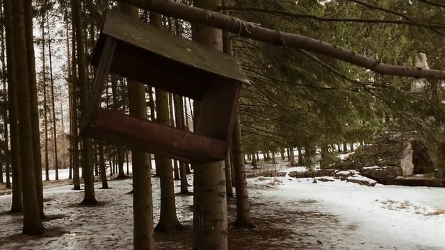 как быть счастливым без денег \\ что такое счастье? ☀ смотреть онлайн
