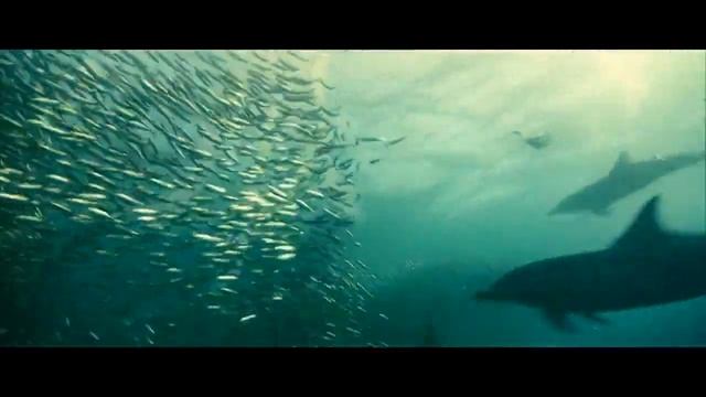 Dolphin - Последний Дельфин смотреть онлайн