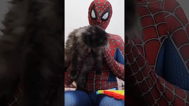 Человек-Паук клонировал себя и вызвали Дух водяного Кальмара Кто победит. Смешно из ТИК-ТОКА смотреть онлайн