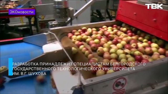 Красноярский край стал самым грязным регионом России / «Эконовости» смотреть онлайн
