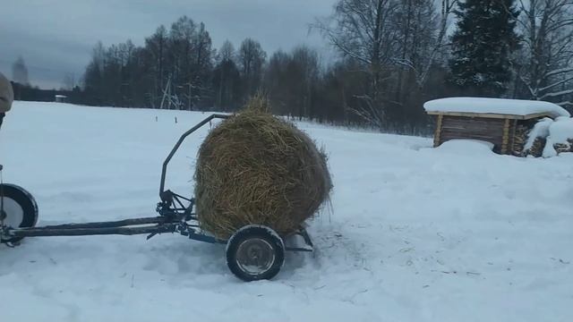 Конная тележка для рулонов с автозагрузкой смотреть онлайн