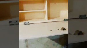 Самодельная аптечка