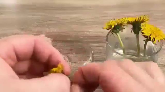 чай из одуванчиков) - эликсир жизни.