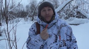 Манок на лису #1 охота на лис