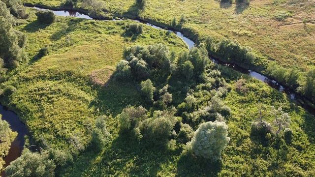 MAVIC MINI - Первая серия роликов,Тверская область дер. Ягодино смотреть онлайн