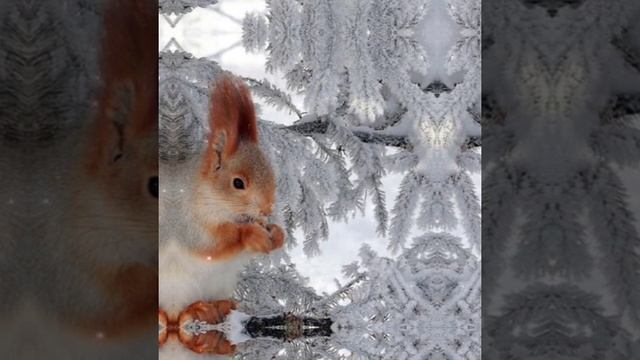 31 ЯНВАРЯ. ДЕНЬ АФАНАСИЯ ( ВЕДЬМИН ДЕНЬ). СТРОГИЕ ЗАПРЕТЫ ДНЯ смотреть онлайн