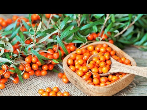 Вкусные рецепты