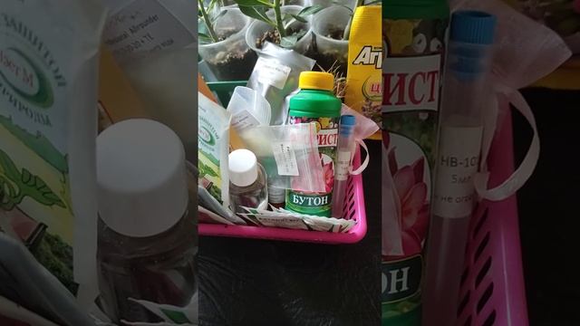 удобрения для адениумов смотреть онлайн