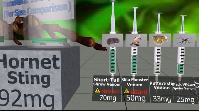 Toxicity Comparison (This little will KILL you) смотреть онлайн