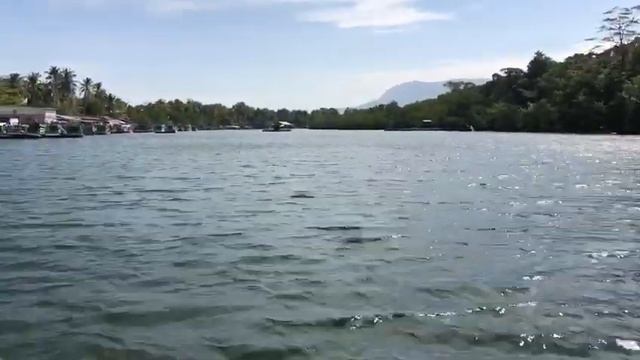 Фукуок гонки на лодках смотреть онлайн