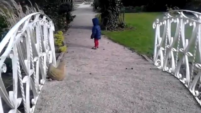 075Nicholas running and tripping over a hen. смотреть онлайн