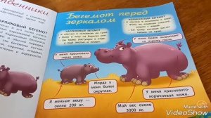 Обзор журнала «Животные дикой природы» №7 животные саванны Бегемот.