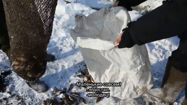 КУЙУУР ОСОБЫЙ МЕТОД РЫБАЛКИ В ЯКУТИИ смотреть онлайн