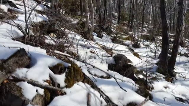 Туманная (Хребет Большой Воробей) 02.02.2019 смотреть онлайн