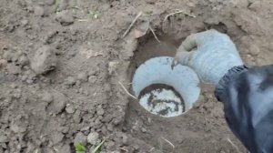 Как поймать крота. How to catch a mole. Ловушка на крота.