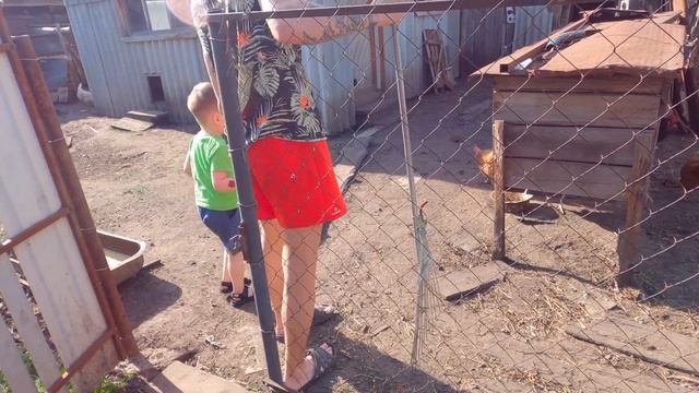 ВЫХОДНЫЕ В ДЕРЕВНЕ/СЕЛО ГАГИНО/ОТДЫХ С СЕМЬЁЙ смотреть онлайн