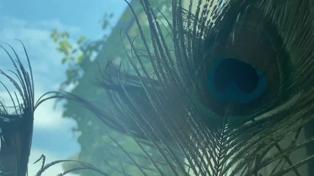 Roberto Cacciapaglia - The Future - Live From Home For Earth Day 2020