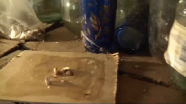 как поймать мышь Best Mouse Trap Ever, How To Make Bucket Mouse Trap