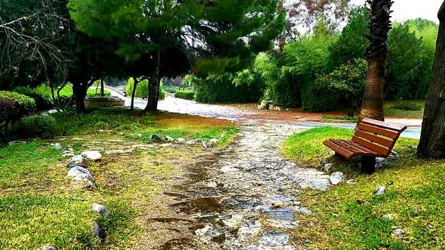 Uykusuzluk Ve Stres Için Yağmur Sesi | Meditasyon Ve Rahatlamak Için Yağmur