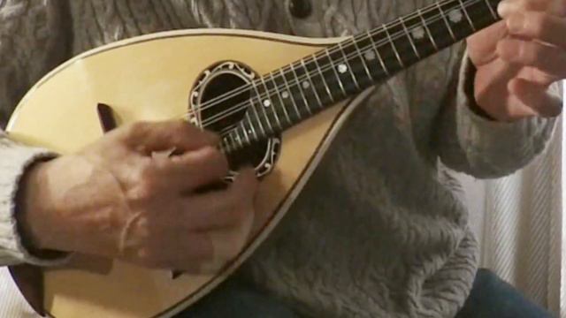 「家族になろうよ」無伴奏マンドリンソロ "Let's be a family" for unaccompanied Mandolin solo смотреть онлайн