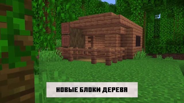 Что показали на Minecon LIVE 2021? Разбор обновления Minecraft 1.19 