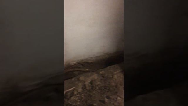 Реконструкция стены глиняного дома