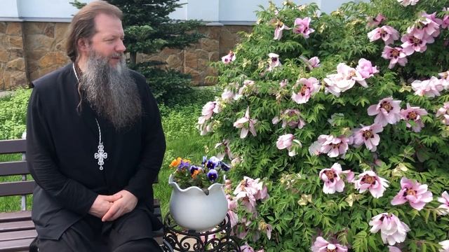 Г.Воронеж 15.05.2019 смотреть онлайн