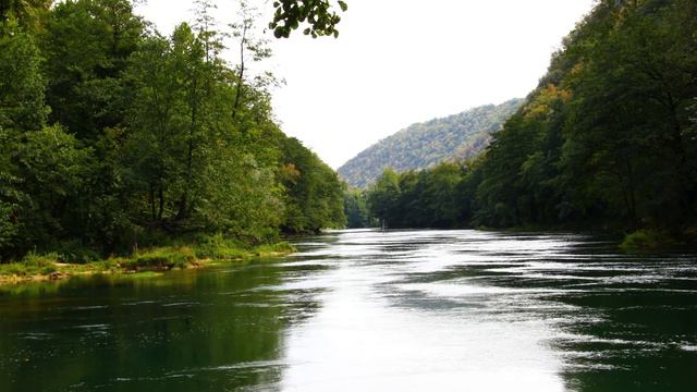 Окунь на живца лайфхак оснастки на окуня.#рыбалка#щука смотреть онлайн