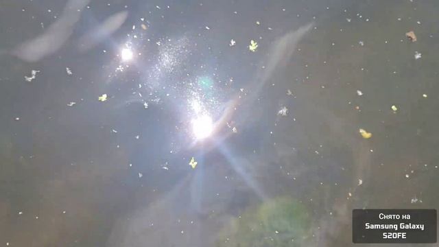 Река Чёрная Калитва смотреть онлайн