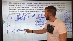 НОВОЕ в ЕГЭ | БИОЛОГИЯ | 28 | Группы крови и сцепленное наследование