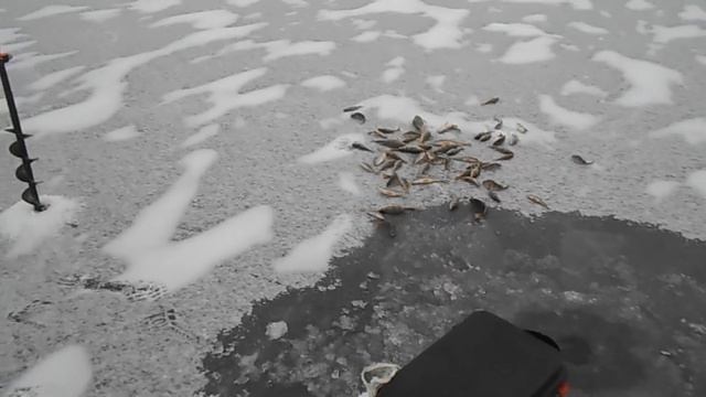 Рыбалка в Балыклее 02; 04.01.2021 смотреть онлайн