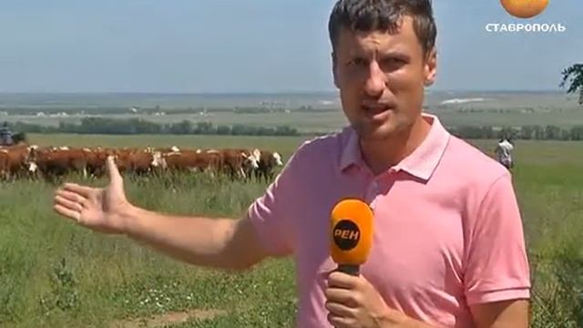 КОВАЛЁВ В БУДЁНОВСКОМ смотреть онлайн