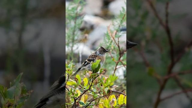 Стихотворение Юрка? смотреть онлайн