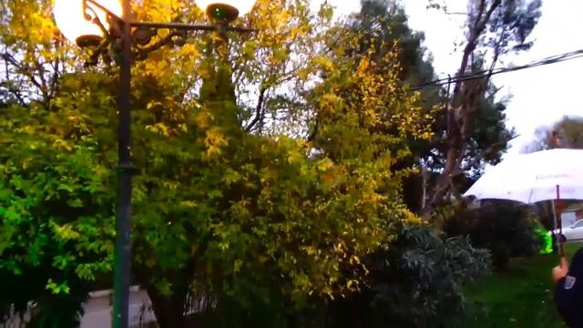 Ноябрь в Сочи +25 смотреть онлайн
