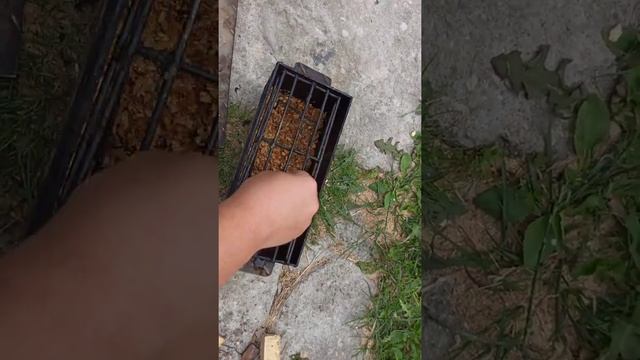 Бизнес-Советы и Инструкции