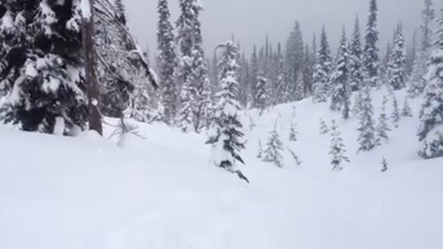 Polaris pro rmk 800 turbo ripn up the deep creek pow смотреть онлайн