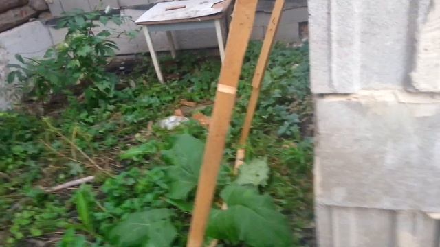 ошибки строительства фундамента смотреть онлайн