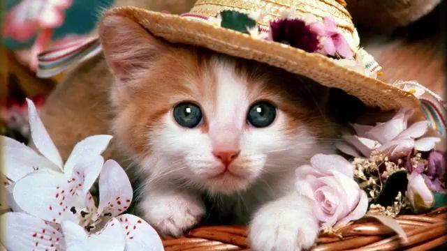 Россия музыка . Шикарный клип. Поднимает настроение! смотреть онлайн