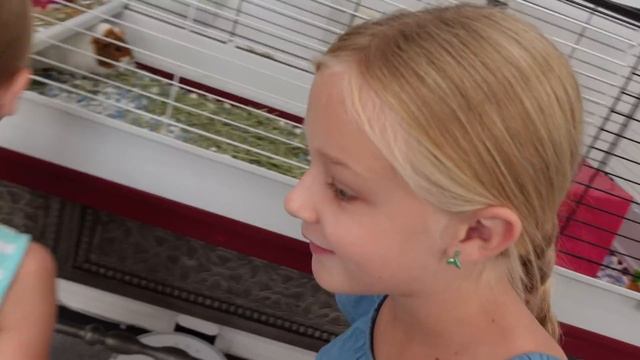 Stealing Baldi's Ruler and Swapping It With Funny Things!!! смотреть онлайн