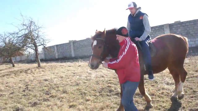Иппотерапия смотреть онлайн