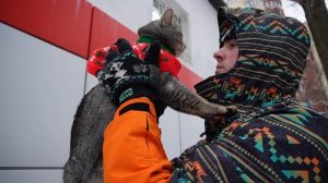 24 ЧАСА В ЗВЕРОЛАГЕРЕ ДЛЯ КОТОВ НА УЛИЦЕ! КОТЫ В ШОКЕ И ХОТЯТ ДОМОЙ