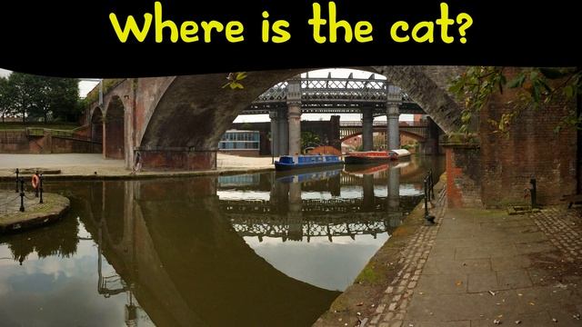 FIND THE ANIMAL GAME | Can you find the hidden cat? смотреть онлайн