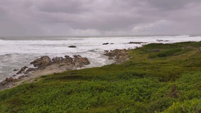 ?? Port Elizabeth - Süd Afrika смотреть онлайн