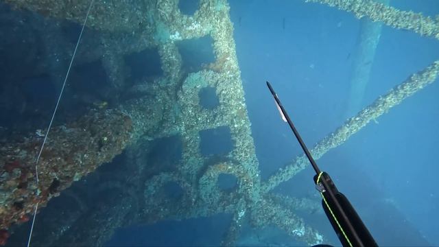 Spearfishing Offshore Oil Rigs WORLD RECORD 137 lb Cubera Snapper! смотреть онлайн