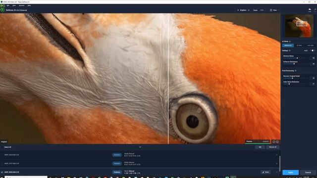 The BEST Photo Noise Removal Software? Denoise AI Overview смотреть онлайн