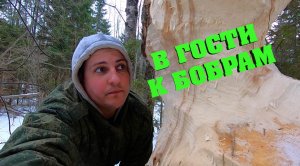 #5. По следам бобров... О планах. [Жизнь на своей земле]