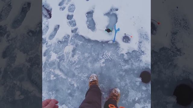 Зимняя рыбалка. Рыбацкая деревня ВДНХ смотреть онлайн