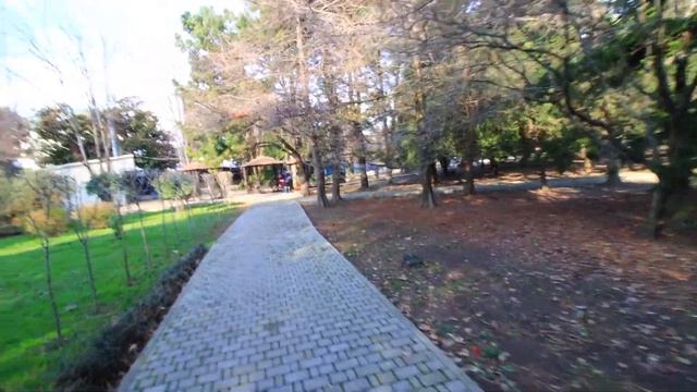 Лазаревское сегодня. Лазаревское аттракционы смотреть онлайн
